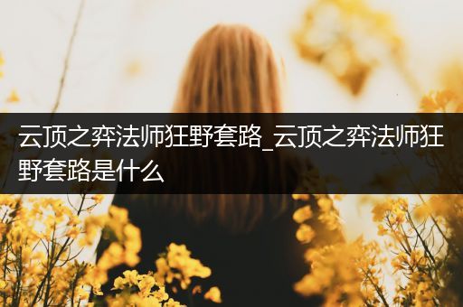 云顶之弈法师狂野套路_云顶之弈法师狂野套路是什么