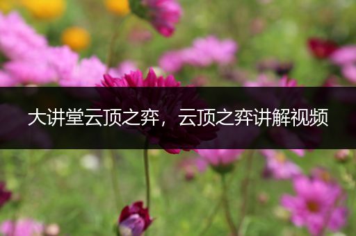 大讲堂云顶之弈，云顶之弈讲解视频