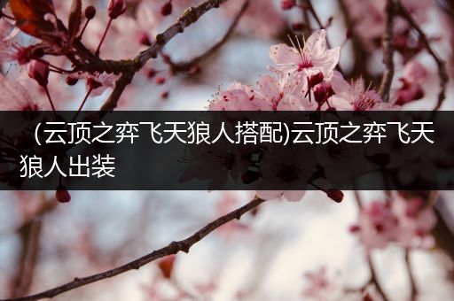 （云顶之弈飞天狼人搭配)云顶之弈飞天狼人出装
