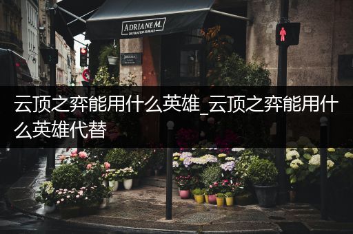 云顶之弈能用什么英雄_云顶之弈能用什么英雄代替