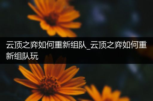 云顶之弈如何重新组队_云顶之弈如何重新组队玩