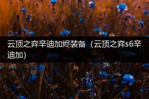 云顶之弈辛迪加烬装备（云顶之弈s6辛迪加）