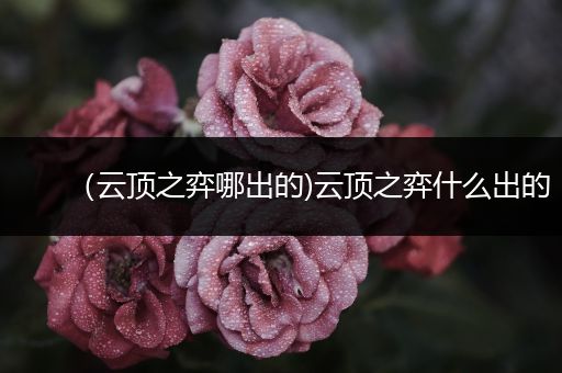 （云顶之弈哪出的)云顶之弈什么出的