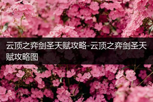 云顶之弈剑圣天赋攻略-云顶之弈剑圣天赋攻略图