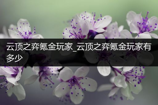 云顶之弈氪金玩家_云顶之弈氪金玩家有多少