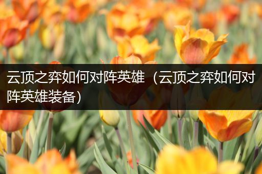 云顶之弈如何对阵英雄（云顶之弈如何对阵英雄装备）
