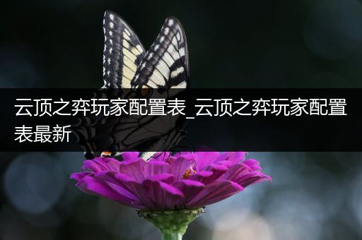 云顶之弈玩家配置表_云顶之弈玩家配置表最新