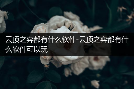 云顶之弈都有什么软件-云顶之弈都有什么软件可以玩