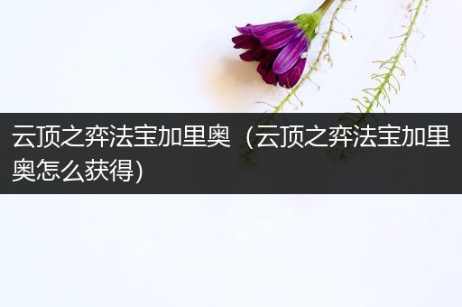 云顶之弈法宝加里奥（云顶之弈法宝加里奥怎么获得）