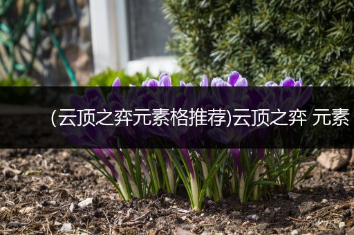 （云顶之弈元素格推荐)云顶之弈 元素