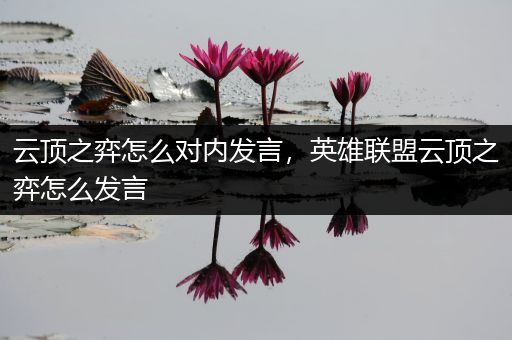 云顶之弈怎么对内发言，英雄联盟云顶之弈怎么发言