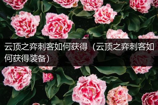云顶之弈刺客如何获得（云顶之弈刺客如何获得装备）