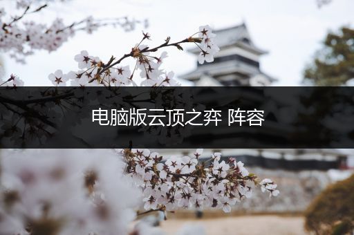 电脑版云顶之弈 阵容