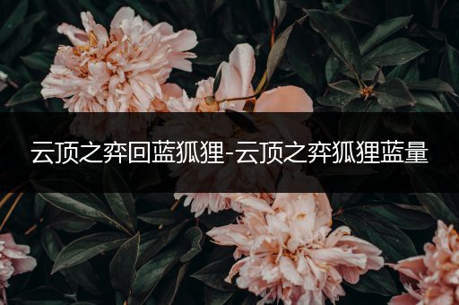 云顶之弈回蓝狐狸-云顶之弈狐狸蓝量