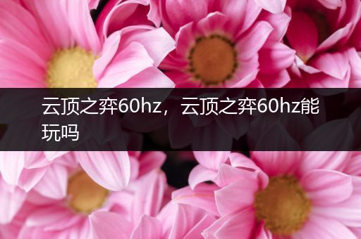 云顶之弈60hz，云顶之弈60hz能玩吗