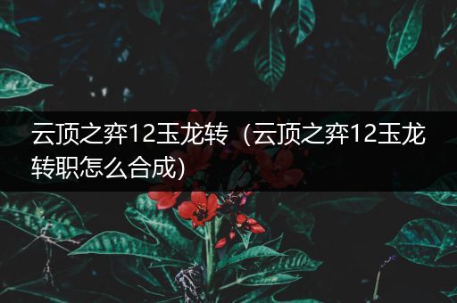 云顶之弈12玉龙转（云顶之弈12玉龙转职怎么合成）