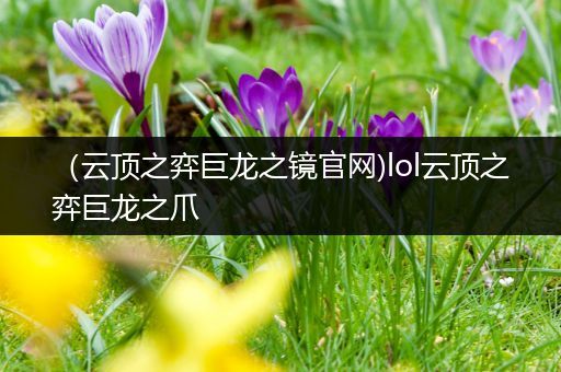 （云顶之弈巨龙之镜官网)lol云顶之弈巨龙之爪
