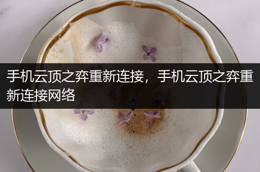 手机云顶之弈重新连接，手机云顶之弈重新连接网络