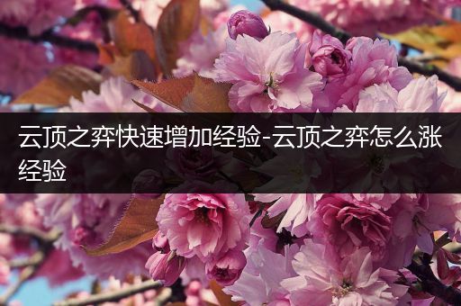 云顶之弈快速增加经验-云顶之弈怎么涨经验