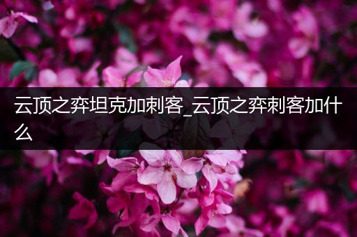 云顶之弈坦克加刺客_云顶之弈刺客加什么