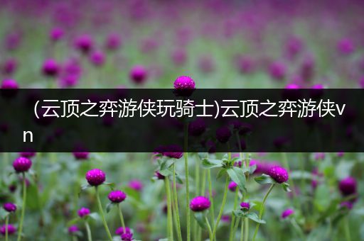 （云顶之弈游侠玩骑士)云顶之弈游侠vn