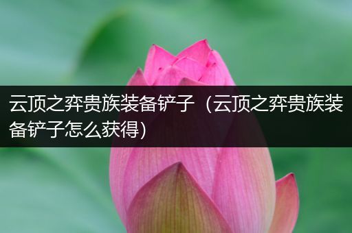 云顶之弈贵族装备铲子（云顶之弈贵族装备铲子怎么获得）