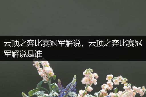 云顶之弈比赛冠军解说，云顶之弈比赛冠军解说是谁