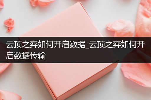 云顶之弈如何开启数据_云顶之弈如何开启数据传输