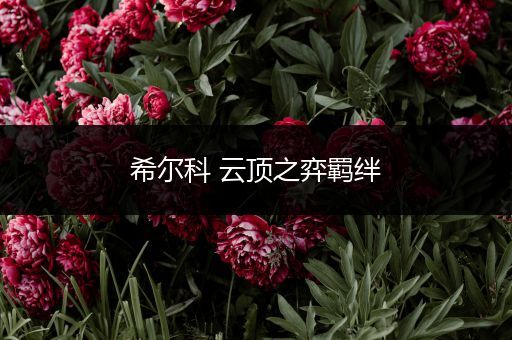 希尔科 云顶之弈羁绊
