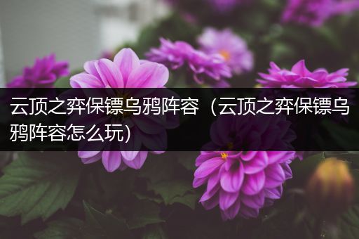 云顶之弈保镖乌鸦阵容（云顶之弈保镖乌鸦阵容怎么玩）