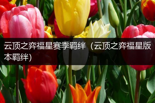 云顶之弈福星赛季羁绊（云顶之弈福星版本羁绊）