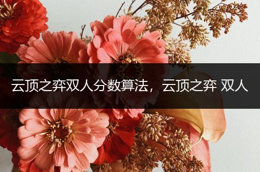 云顶之弈双人分数算法，云顶之弈 双人