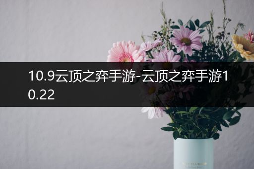 10.9云顶之弈手游-云顶之弈手游10.22