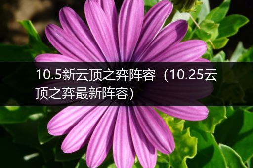10.5新云顶之弈阵容（10.25云顶之弈最新阵容）