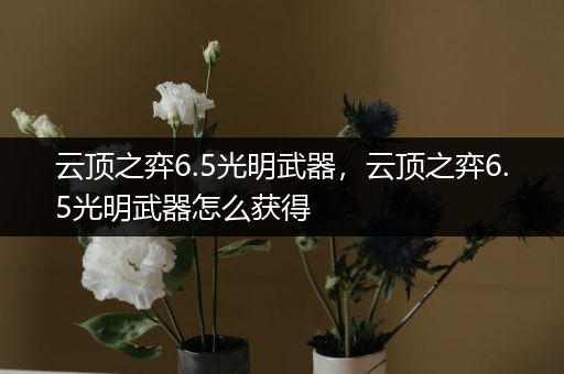 云顶之弈6.5光明武器，云顶之弈6.5光明武器怎么获得