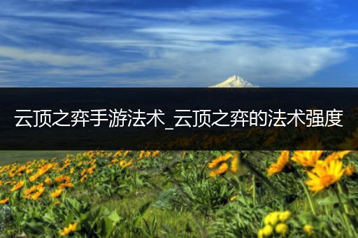 云顶之弈手游法术_云顶之弈的法术强度