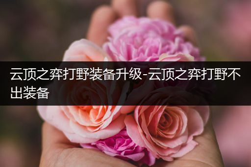 云顶之弈打野装备升级-云顶之弈打野不出装备