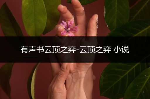 有声书云顶之弈-云顶之弈 小说