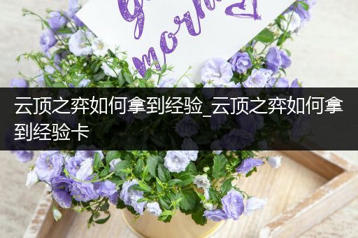 云顶之弈如何拿到经验_云顶之弈如何拿到经验卡
