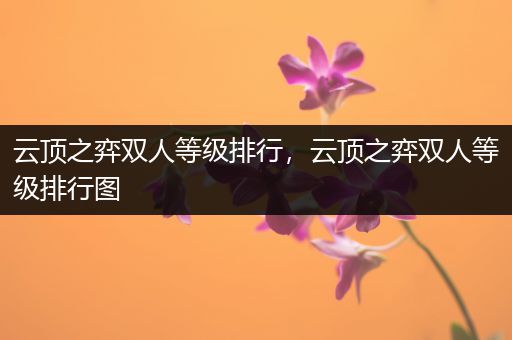 云顶之弈双人等级排行，云顶之弈双人等级排行图
