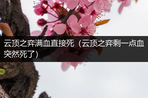 云顶之弈满血直接死（云顶之弈剩一点血突然死了）