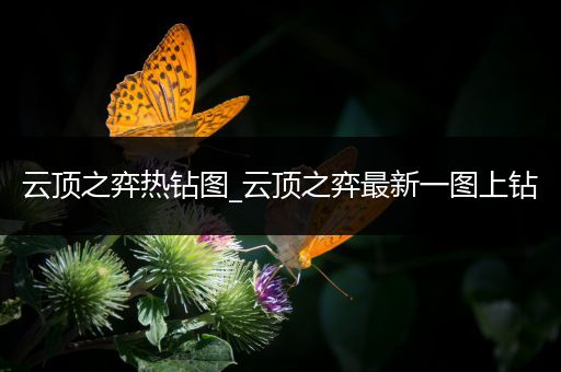 云顶之弈热钻图_云顶之弈最新一图上钻