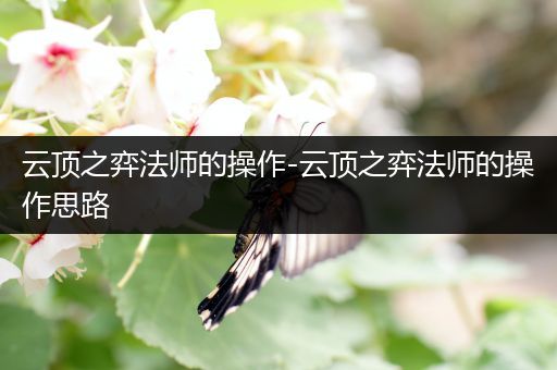 云顶之弈法师的操作-云顶之弈法师的操作思路