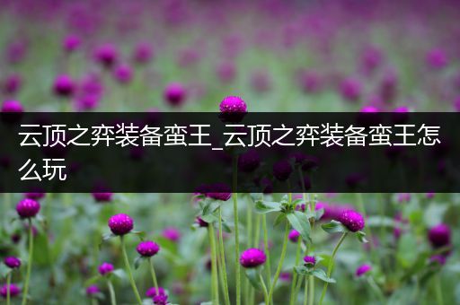 云顶之弈装备蛮王_云顶之弈装备蛮王怎么玩
