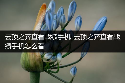 云顶之弈查看战绩手机-云顶之弈查看战绩手机怎么看