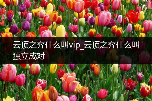 云顶之弈什么叫vip_云顶之弈什么叫独立成对