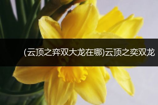 （云顶之弈双大龙在哪)云顶之奕双龙