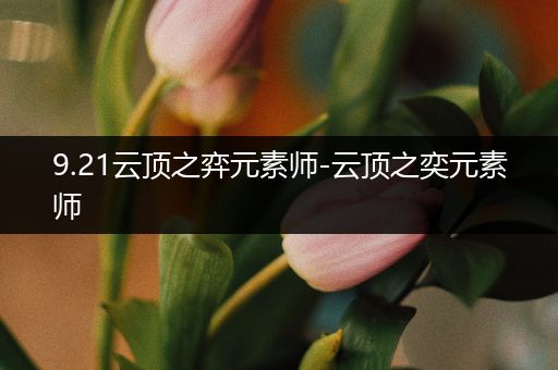 9.21云顶之弈元素师-云顶之奕元素师