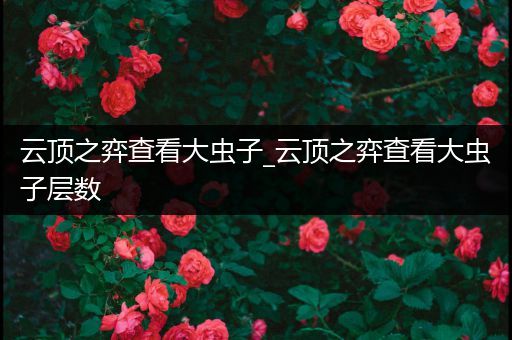 云顶之弈查看大虫子_云顶之弈查看大虫子层数