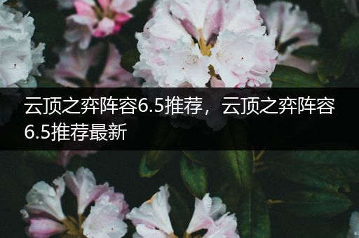 云顶之弈阵容6.5推荐，云顶之弈阵容6.5推荐最新